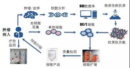 華大吉諾因攜「腫瘤新生抗原」誘導的CTL技術亮相AACR 引領個性化免疫治療新浪潮